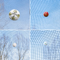 ProFlex STOP THAT BALL - Soccer, Cricket, Golf Net [Width: 3.3m [Master Unit]]