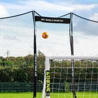 Pop-Up STOP THAT BALL Extender Net