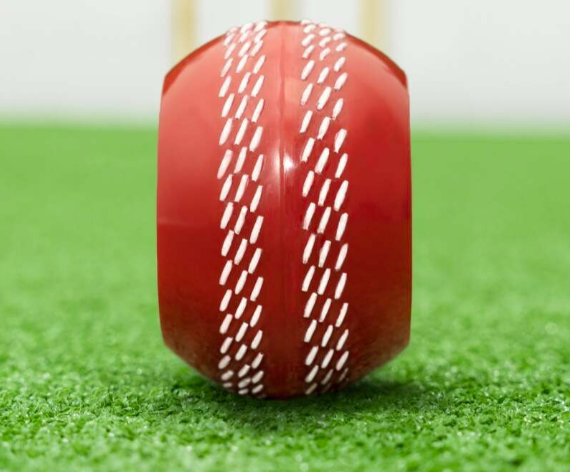 FORTRESS Technique Cricket Training Balls