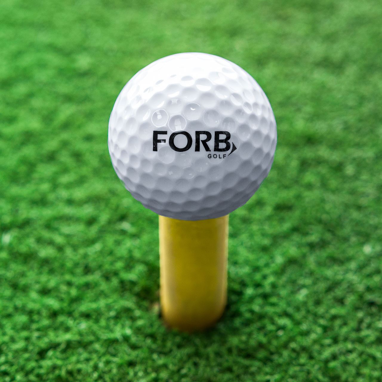FORB DRIVING RANGE GOLF BALLS [PREMIUM 2 PIECE] [Pack Size:: Pack of 60]