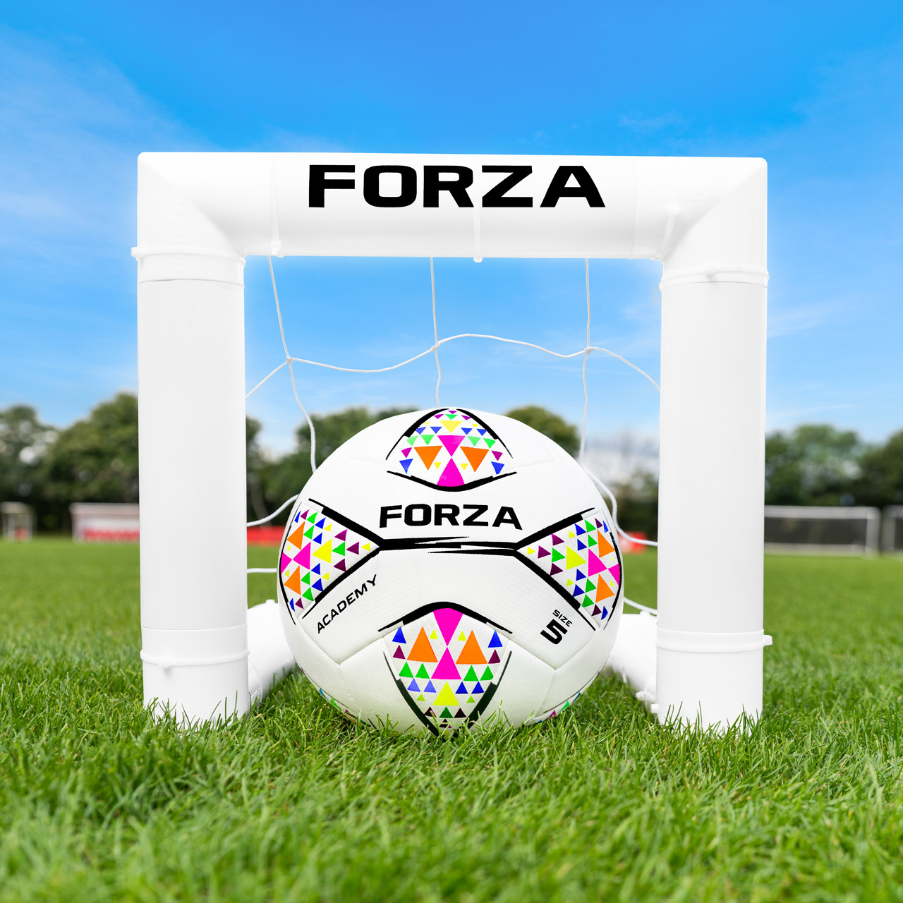 FORZA World’s Smallest Target Goal