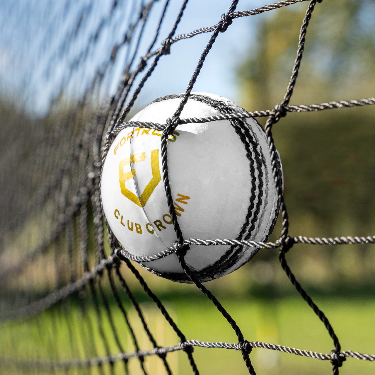 STOP THAT BALL™ Cricket Batting Cage Net (Removable) [Net Size (L x W x H):: 18ft x 12ft x 12ft]