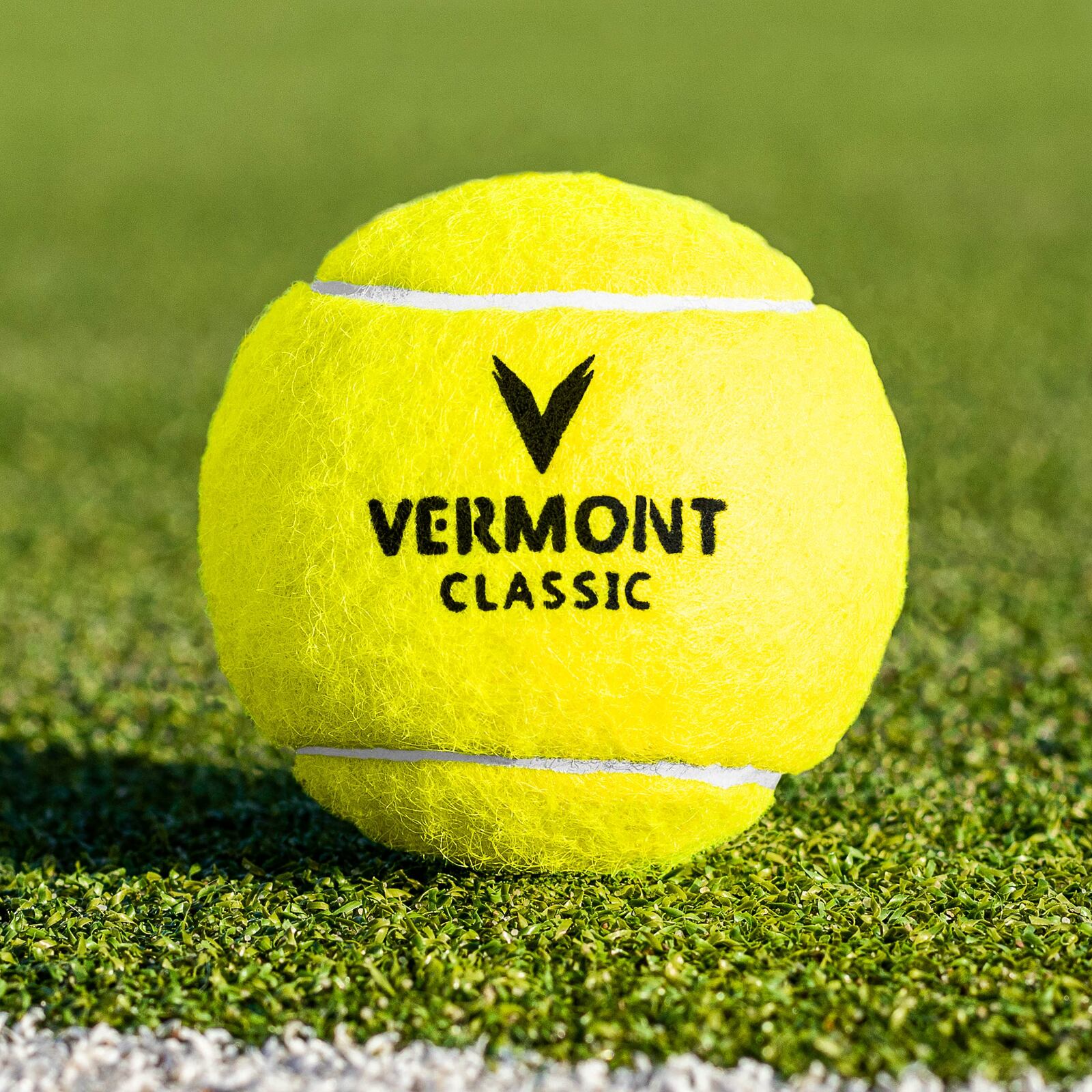Vermont ProCourt Mini Badminton Net