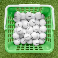 FORB DRIVING RANGE GOLF BALLS [PREMIUM 2 PIECE] [Pack Size:: Pack of 60]