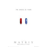 The Matrix Resurrections Poster The Choice is Yours 62
