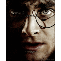 Harry Potter Framed 3D Picture