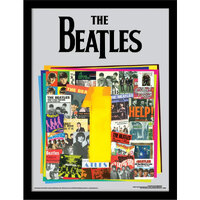 The Beatles Picture Albums 16 x 12