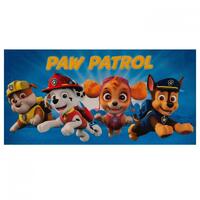 Paw Patrol Towel