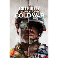 Call Of Duty Cold War Poster Split 290