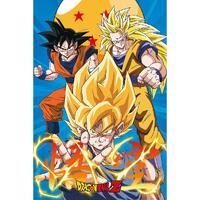 Dragon Ball Z Poster Gokus 177