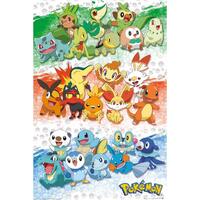 Pokemon Poster First Partners 144