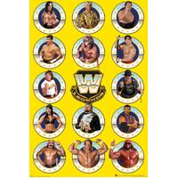 WWE Poster Legends 214