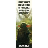 Star Wars: The Mandalorian Door Poster 307