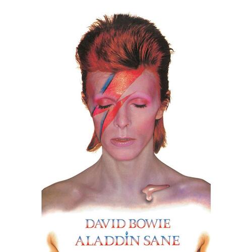David Bowie Poster Aladdin Slane 269