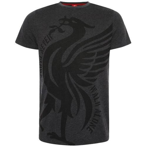 Liverpool FC Liverbird T Shirt Mens Charcoal S